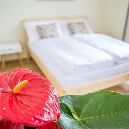 Vendégház U čmeláků